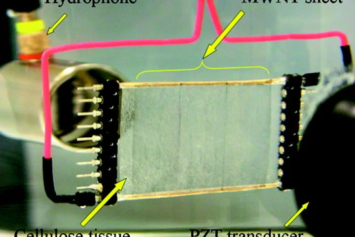 One of the sound-generating carbon nanotube sheets