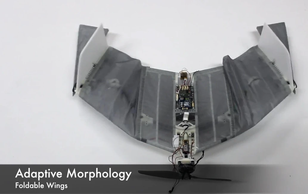 The DALER prototype drone uses adaptive morphology to alter its wing size and shape (Photo:EPFL)