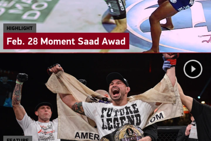 The Bellator MMA application
