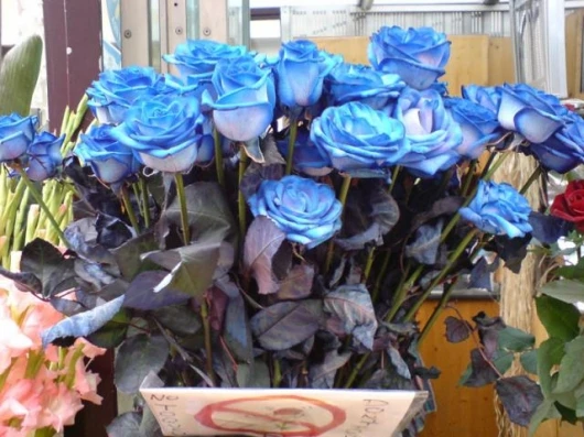 Image taken with K800