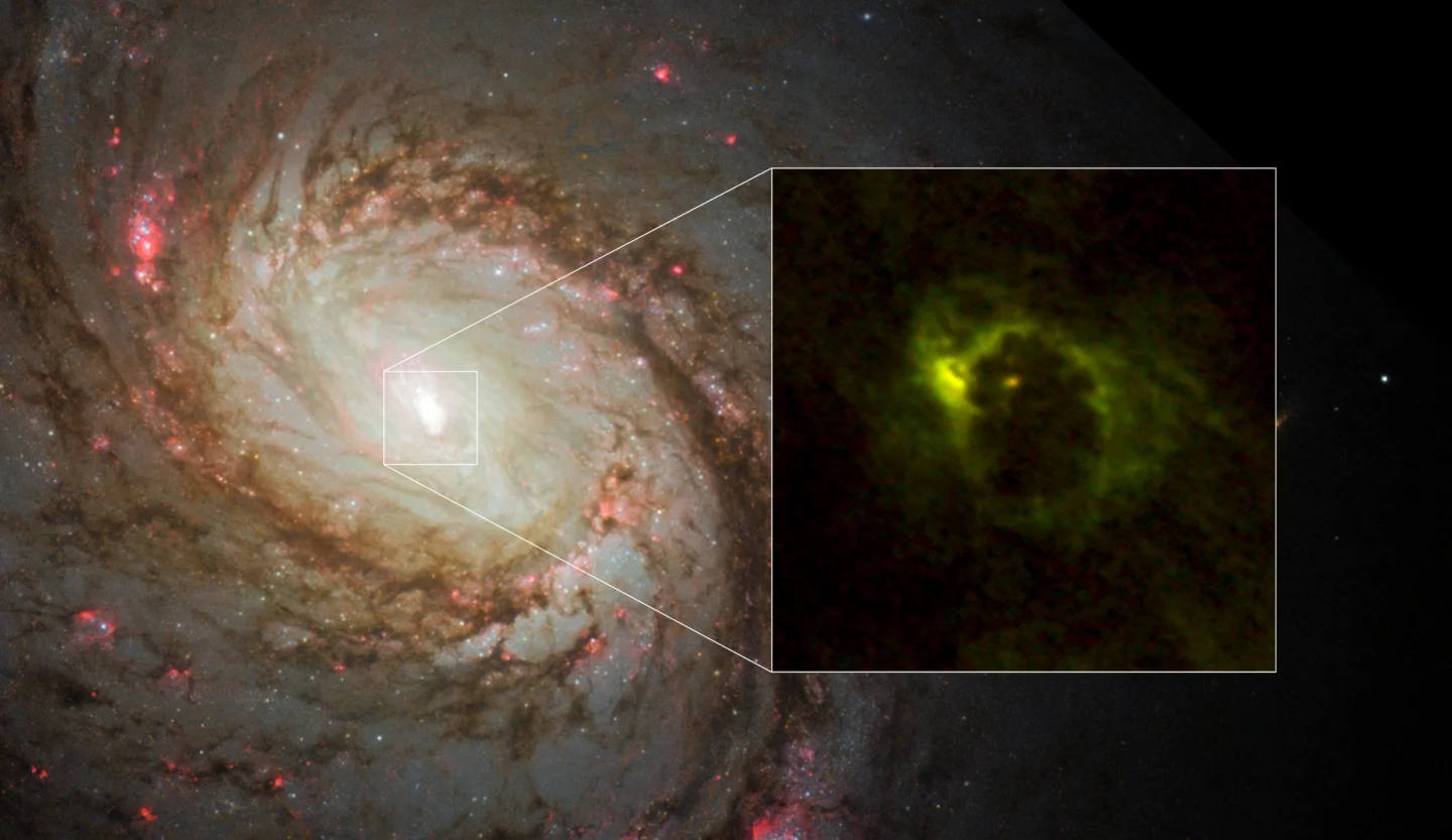 ALMA imaged the active galactic nucleus of the galaxy M77, and found a cloud of gas stretching out 20 light-years from the central black hole