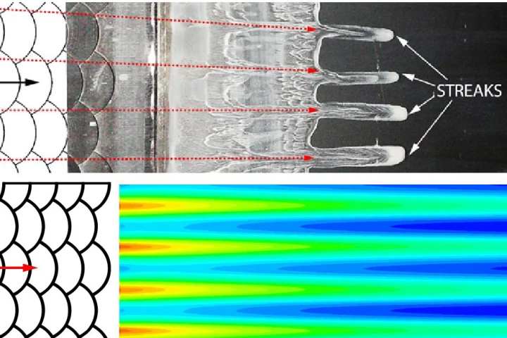 Scientists have discovered that the overlapping areas on the surface of fish scales leads to a zig-zagging motion of fluid as it flows over the top