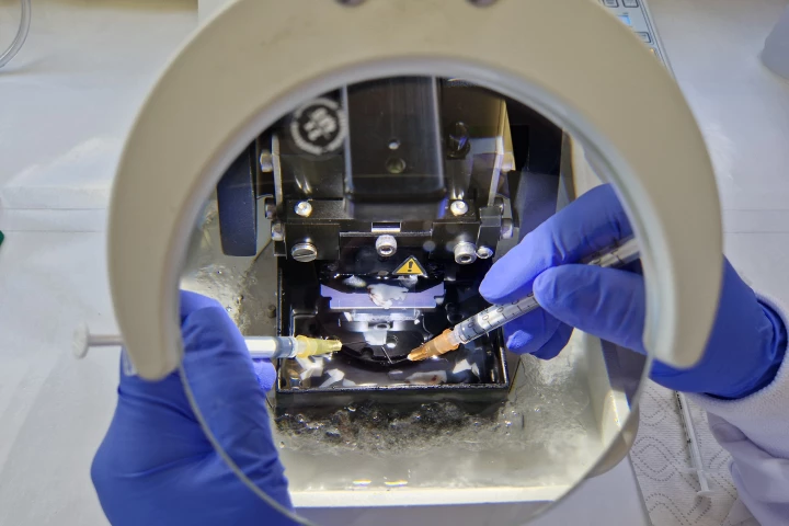 As part of the study, human brain tissue is sectioned into very thin slices using a machine known as a vibratome