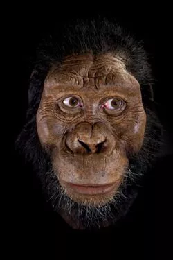 The face is striking, thanks to its large flat nose, protruding rounded jaw, and prominent brows and cheekbones