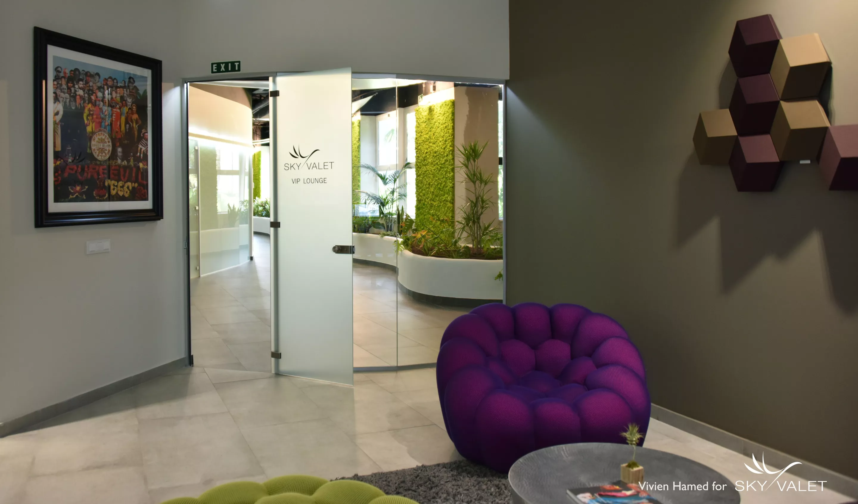 The green walls transform interior spaces into sustainable and satisfying havens