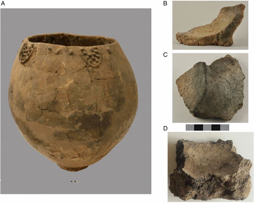 The pottery fragments found date back to the Early Ceramic Neolithic period about 8,000 years ago, meaning they represent some of the earliest evidence of winemaking ever found