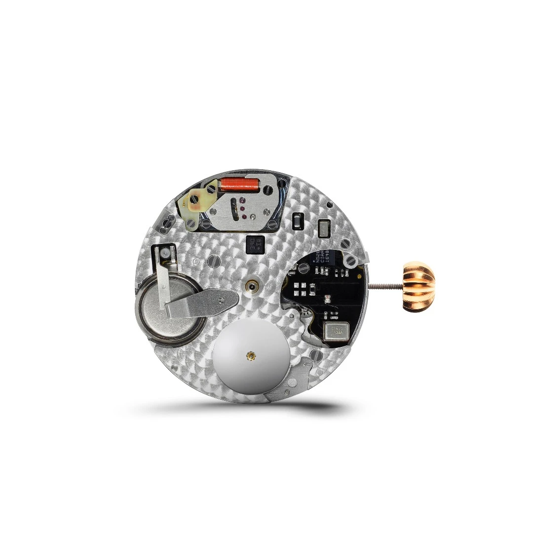 Movement showing the electronics module