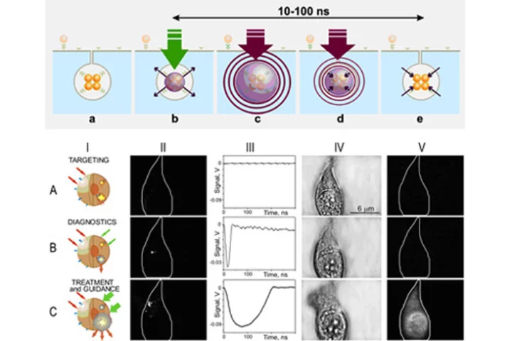 Controlled release and intracellular delivery of therapeutic and diagnostic agent into the cells