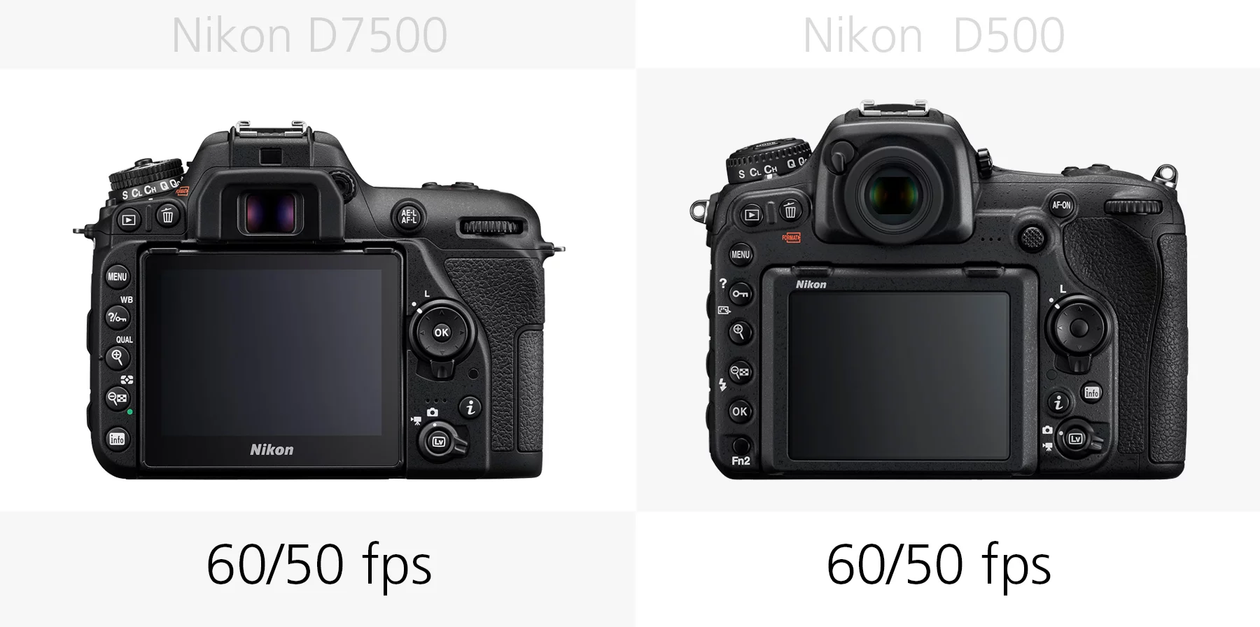 The Full HD frame rates of the Nikon D7500 and Nikon D500 compared