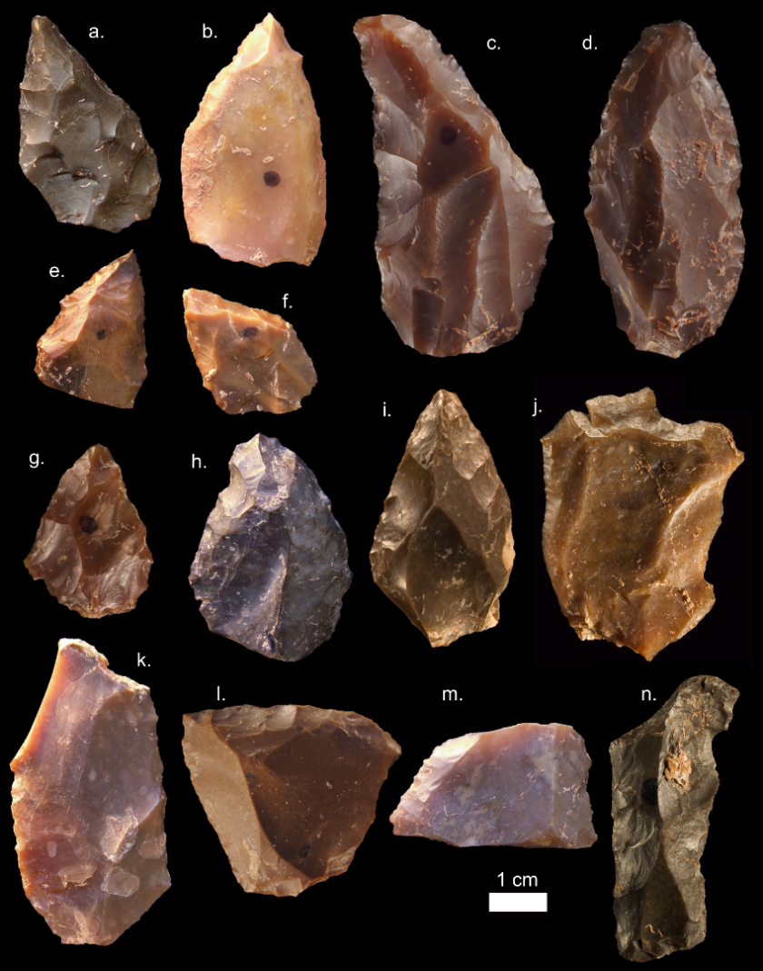 Some of the Middle Stone Age stone tools from Jebel Irhoud