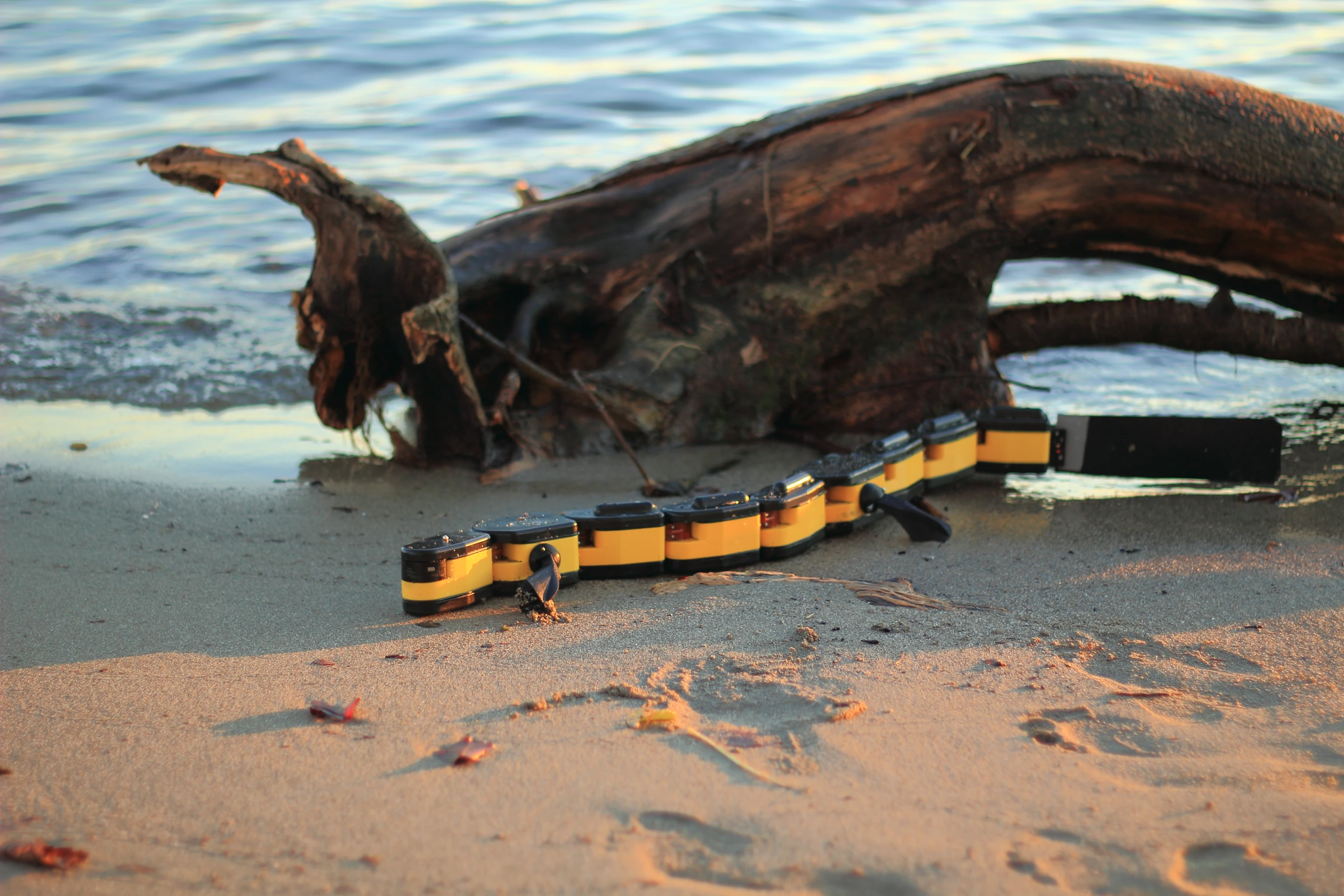 The Salamandra robotica II is the latest model of an amphibious robot that can walk, crawl, and swim just like a salamander (Photo Credit: Kostas Karakasiliotis, Biorobotics Laboratory, EPFL)