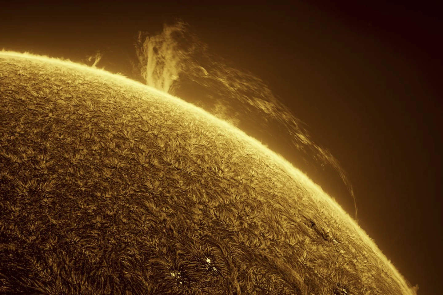 Gigantic Solar Prominence in Motion by Miguel Claro