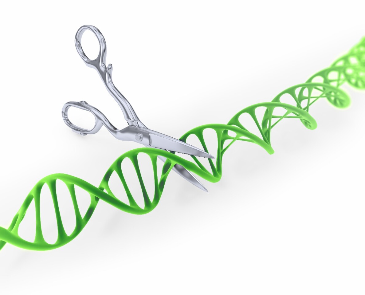 유전자 편집 도구 CRISPR-Cas9는 유전자 메스로 설명되어 살아있는 DNA에 대한 정확한 편집이 가능합니다.