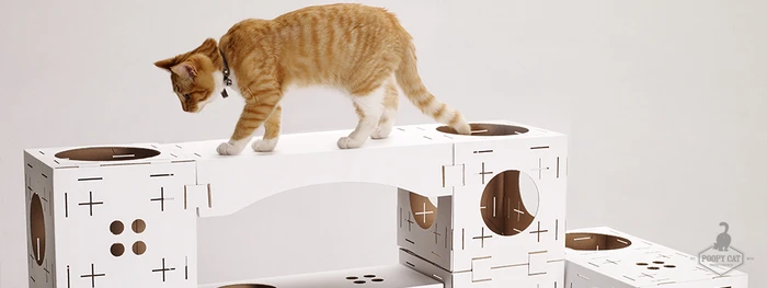Blocks is a cardboard flatpack kit that assembles into modular feline playhouses