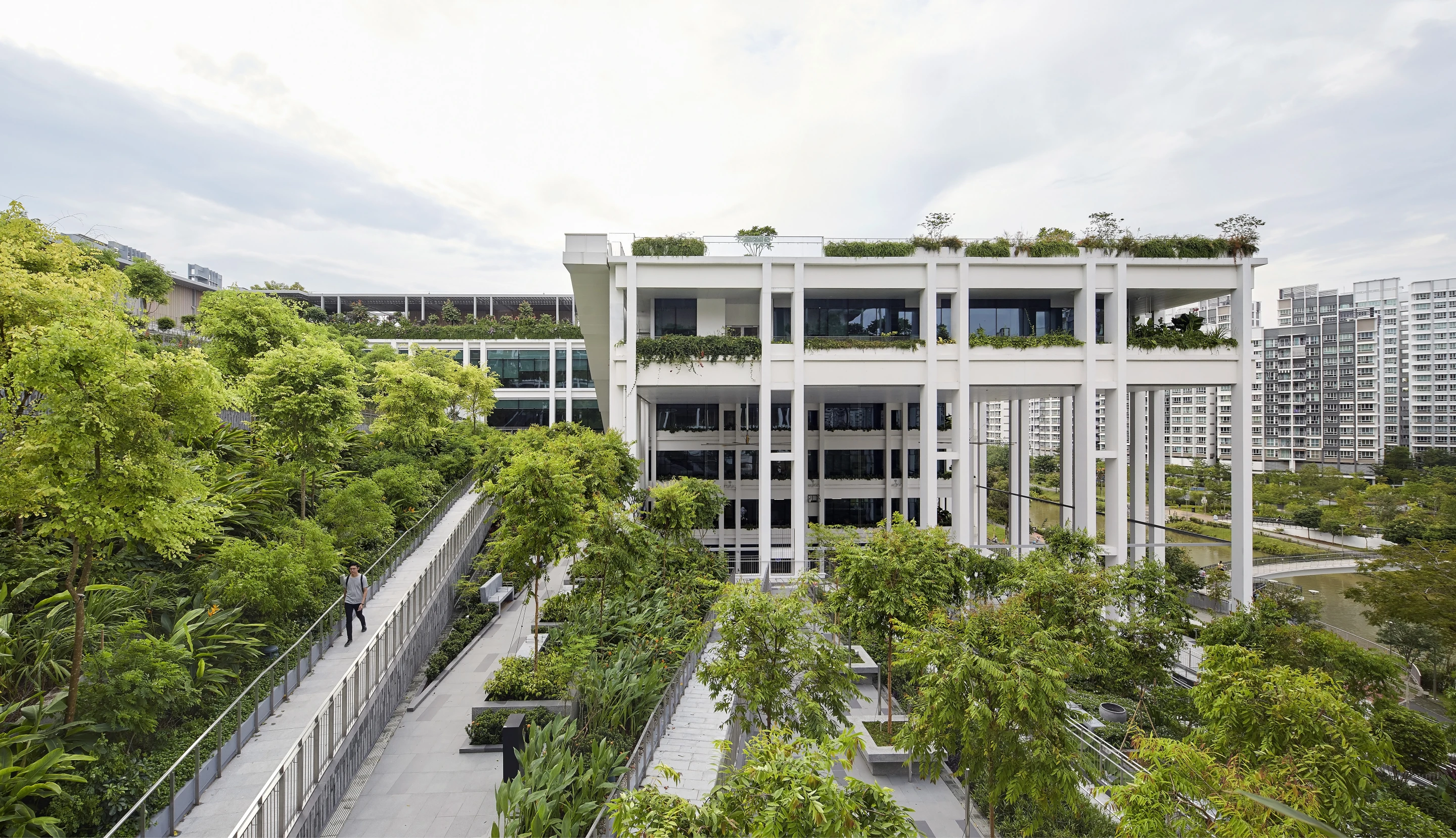 With its tropical climate and lush vegetation, Singapore is well-suited to greenery-covered architecture