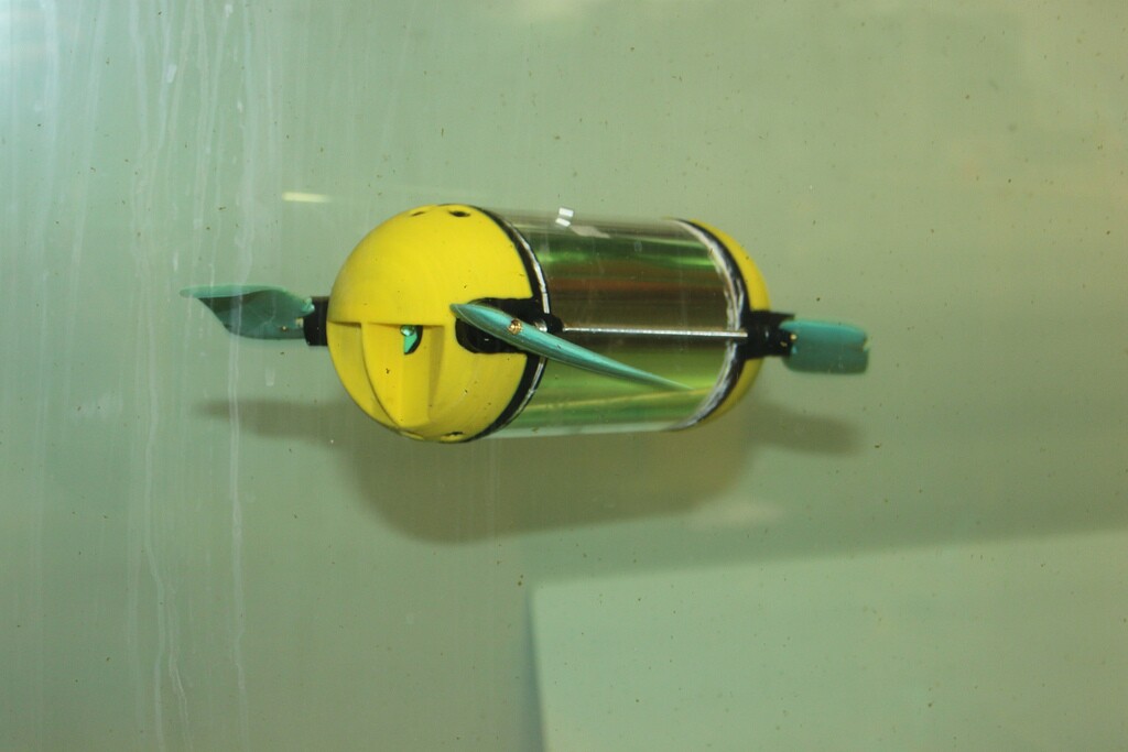 U-CAT is autonomous, so it doesn't require a control cable that could get snagged or tangled