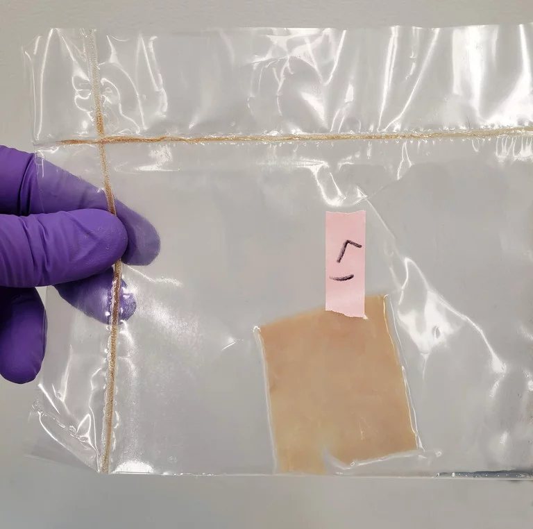 A piece of turkey, sealed within the film
