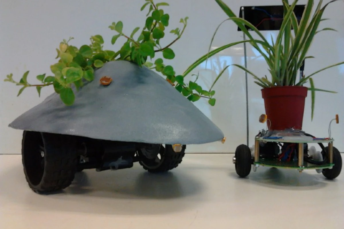 Verstraete placed a flesh eating plant in the PHD and designed the body a bit like a trilobite