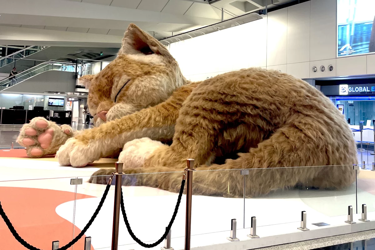 Even arriving bleary-eyed at midnight, there was no missing "Catzilla"