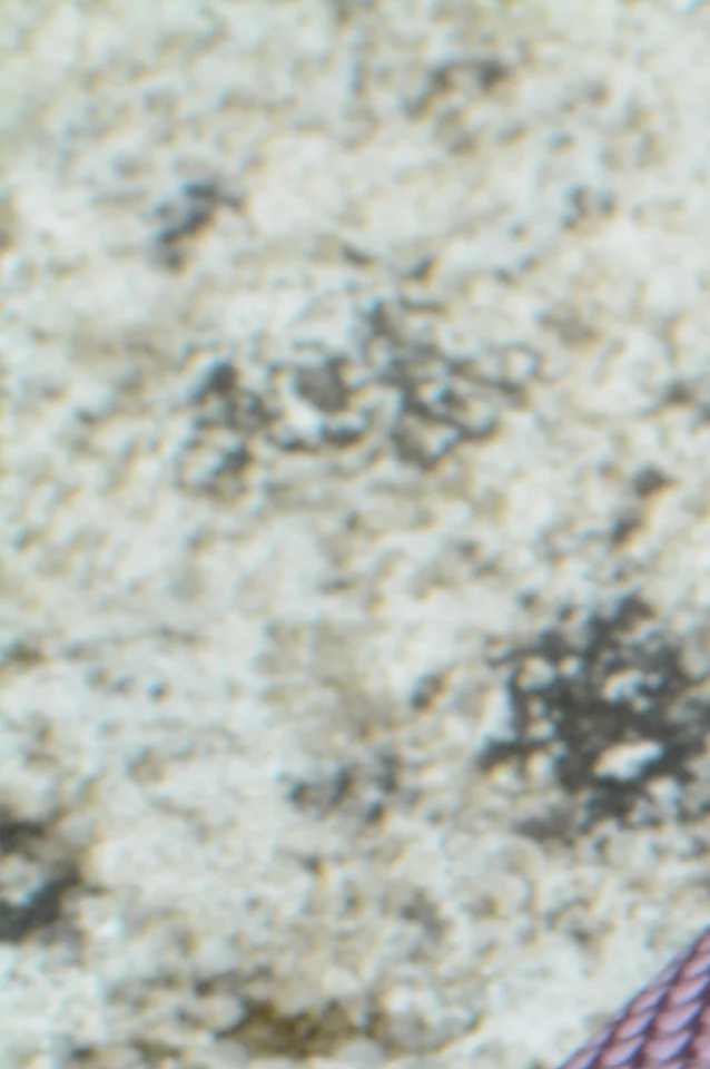 The build quality is good and the semi-hard fabric case the Z:eros are shipped in has bags of room inside