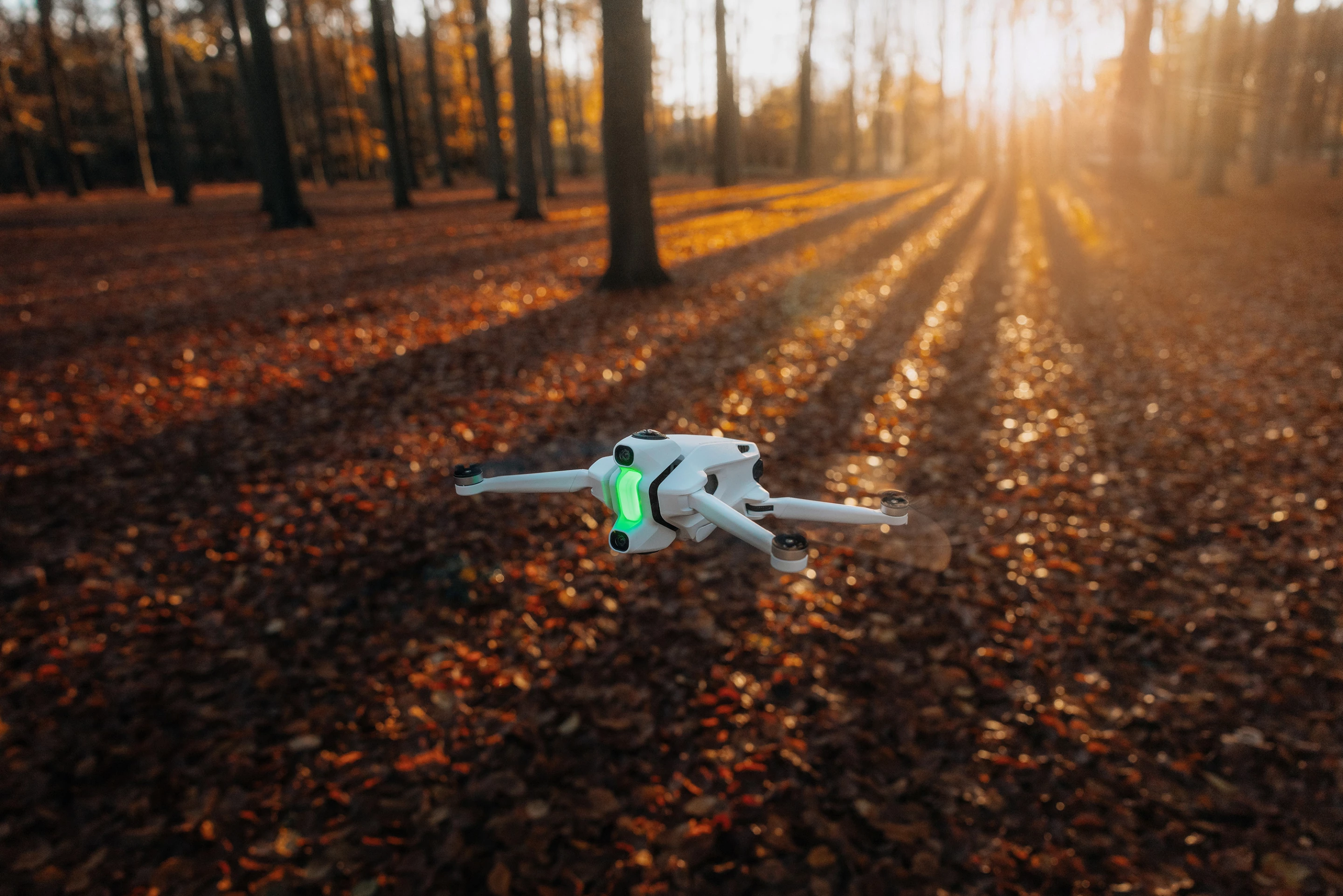 The Antigravity drone looking pretty majestic in the fall colors