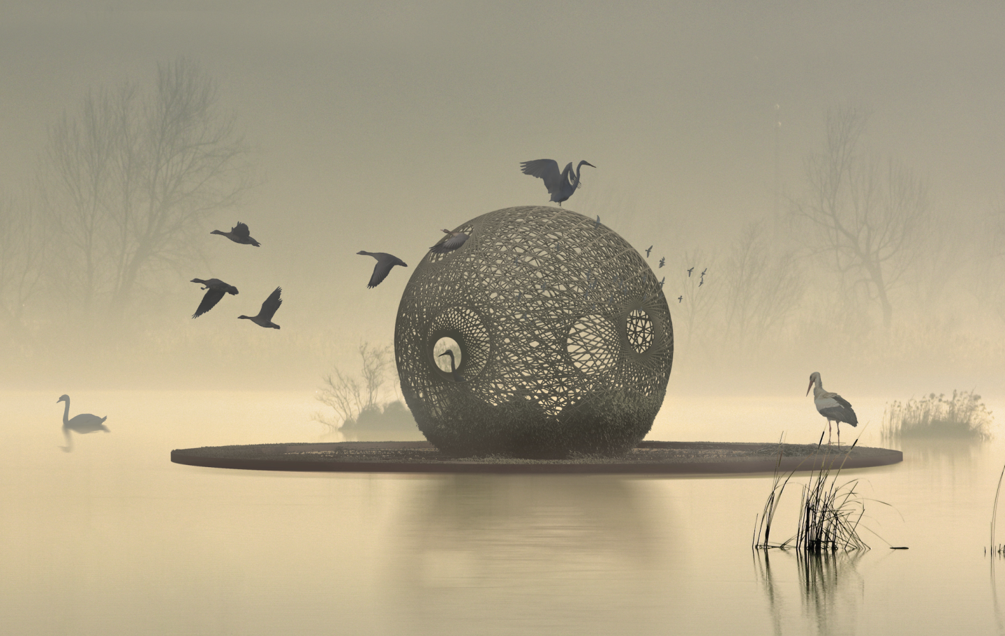 Primitive Nature, Samuele Piacentini, Francesco Trovatelli, Filippo Prodi (Italy)