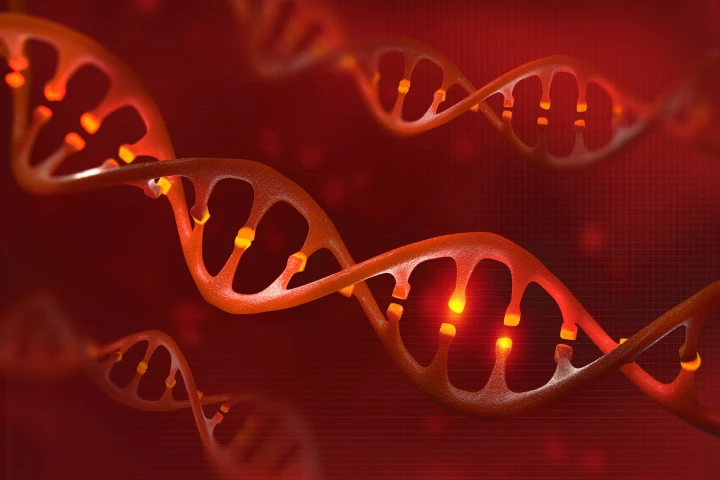 A new technique called CRISPRa can increase the expression of a single gene without cutting or editing DNA