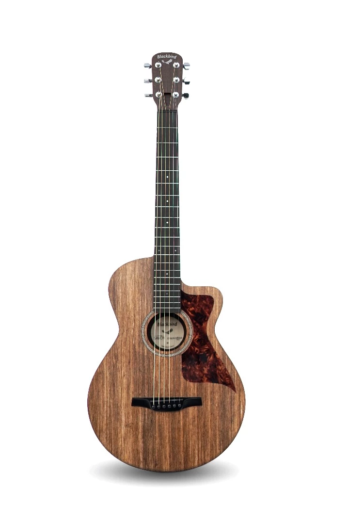 The Savoy small body acoustic guitar has a 20-fret, 25.4-inch scale length neck that meets the top of the body at the 12th fret and the bottom horn at the 15th for easier access to higher fingerboard positions