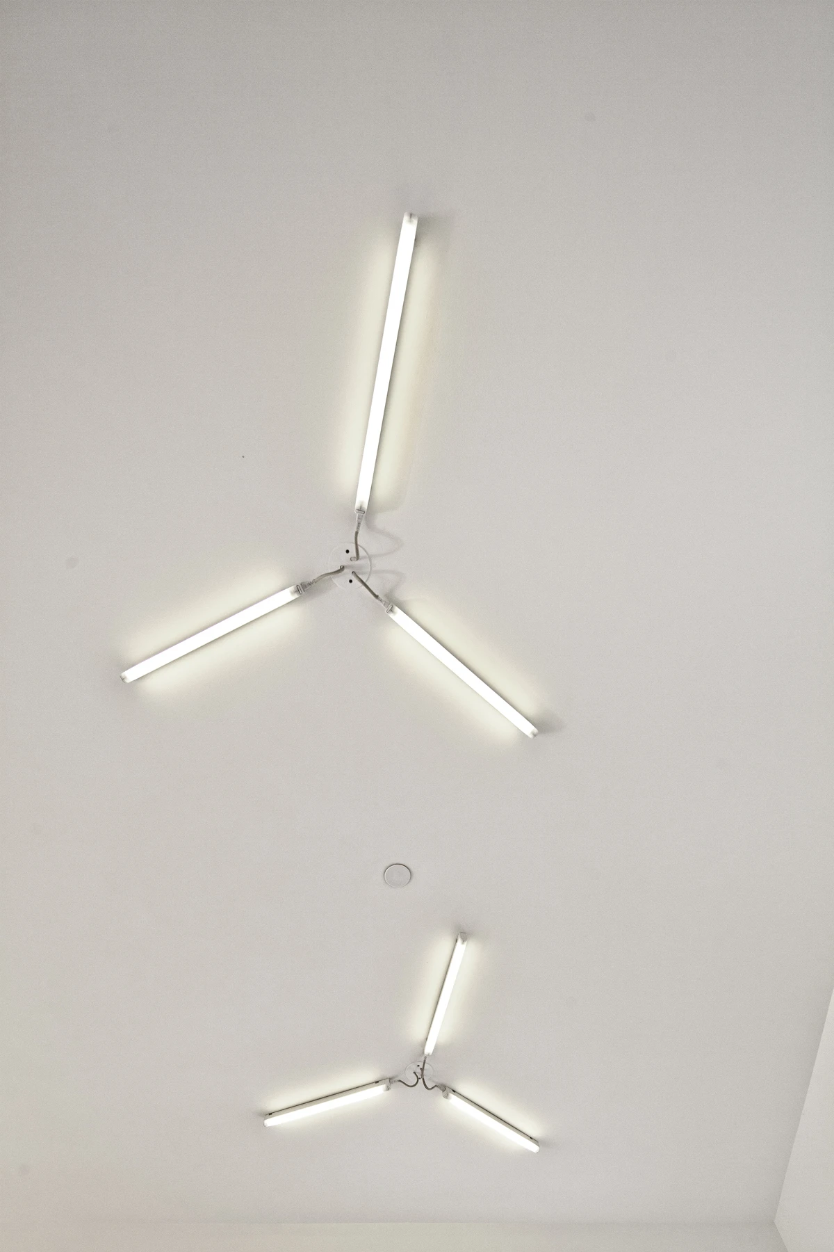 The use of lighting was carefully considered to maximize the feeling of space available