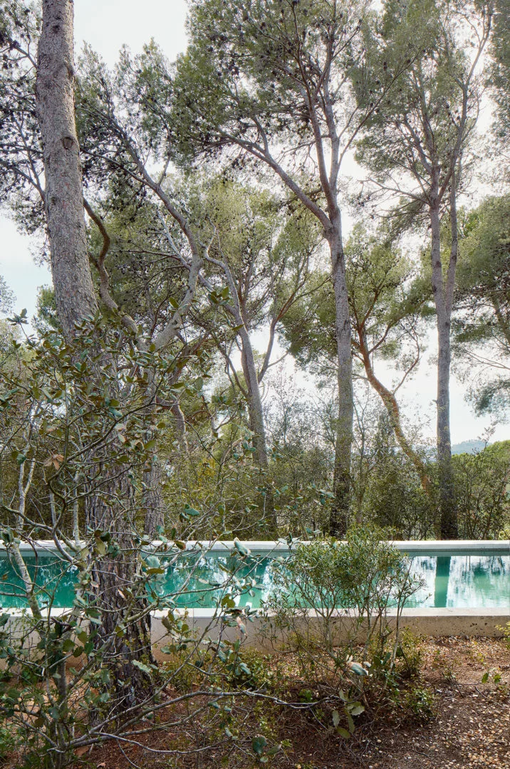 A swimming pool hides amid the landscape