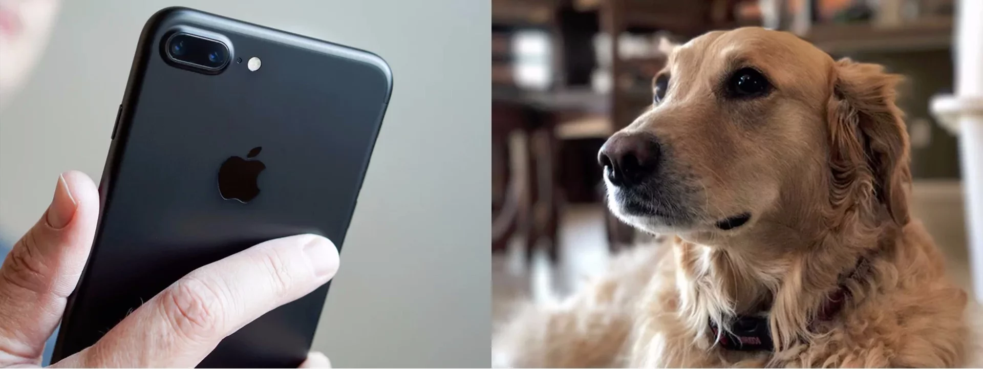 The dual-lens camera on the iPhone 7 Plus enables 2x optical zoom. In Portrait Mode, it also approximates depth-of-field effects.