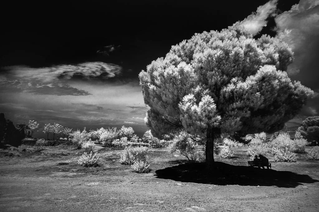 Honorable Mention in the Black and White category - In the Shadow