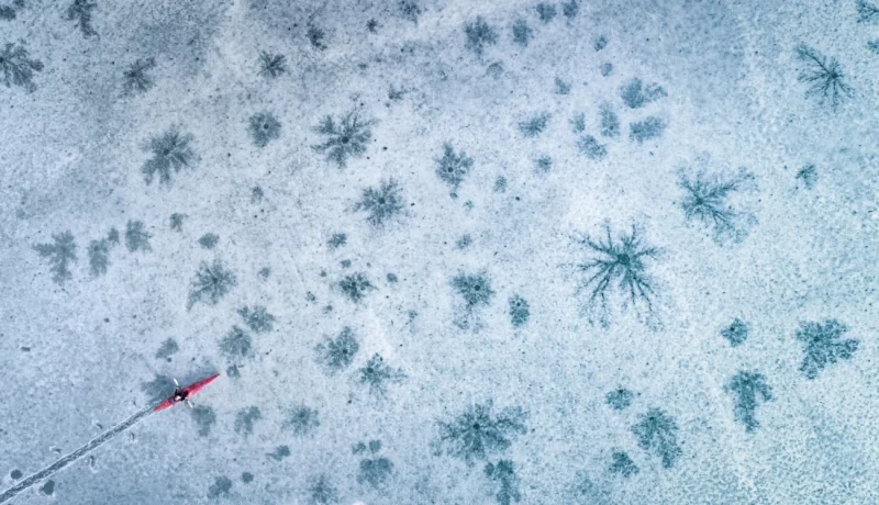 Red Kajak: Highly Commended in the People category