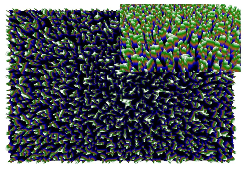 The spiky surface of black silicon shred certain types of bacteria, offering the potential of new antibacterial surfaces