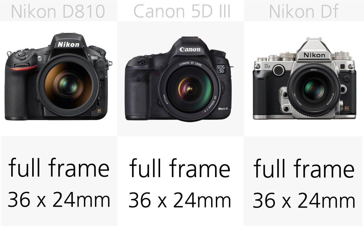 All of these cameras feature the same size 36 x 24 mm sensors