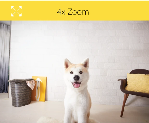 You can keep tabs on your dog from a distance with 4X zoom