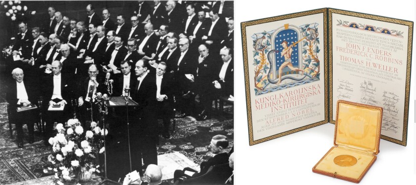 Nobel Laureate Frederick C. Robbins accepting his Noel Prize 63 years ago. Nobel Prize recipients are referred to as laureates. The word "laureate" comes from the laurel wreath that the mythological (apologies for the redundancy) god Apollo wore as his crown. In Ancient Greece, laurel wreaths were awarded to victors of sporting and poetic contests. As the Nobel awards were fighting their way into existence through the courts when the first modern Olympic Games of 1896 were held, the concept was borrowed by the Nobel Prize administration. The medals were meant to become the family heirlooms of the laureates, passed from generation to generation. Much has been written about the unravelling of the traditional family structure over the last century, and the sales history of Nobel Prize medals by the families illustrates that trend, with it only recently becoming either profitable or acceptable to sell a Nobel Prize.