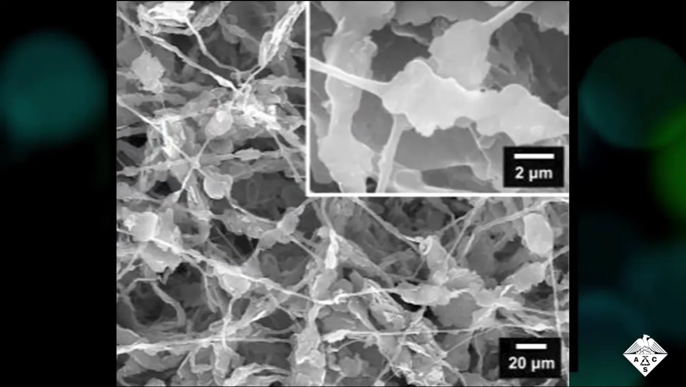 A microscope image of the new cooling material, showing the polyurethane fibers coated with boron nitride
