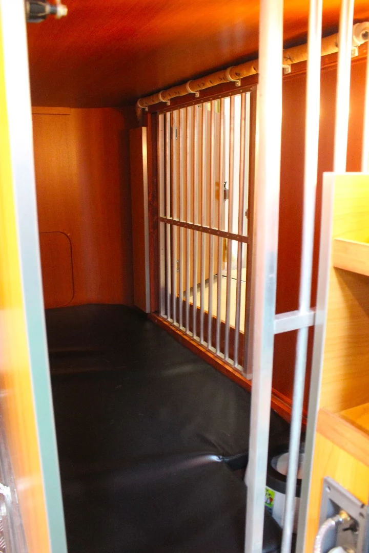 A look inside at the dog kennel with mattress