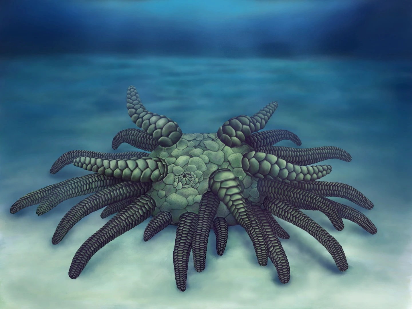 An artist's rendition of the new species, named Sollasina cthulhu after H.P. Lovecraft's mythical beast