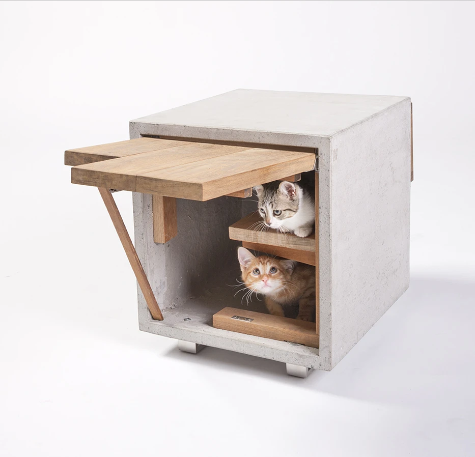 Standard Architecture Design produced one of the more practical looking shelters (Photo: Grey Crawford)