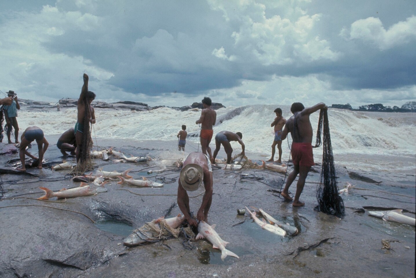 The dorado faces the same problems plaguing other migratory fish: overfishing, pollution and dam construction
