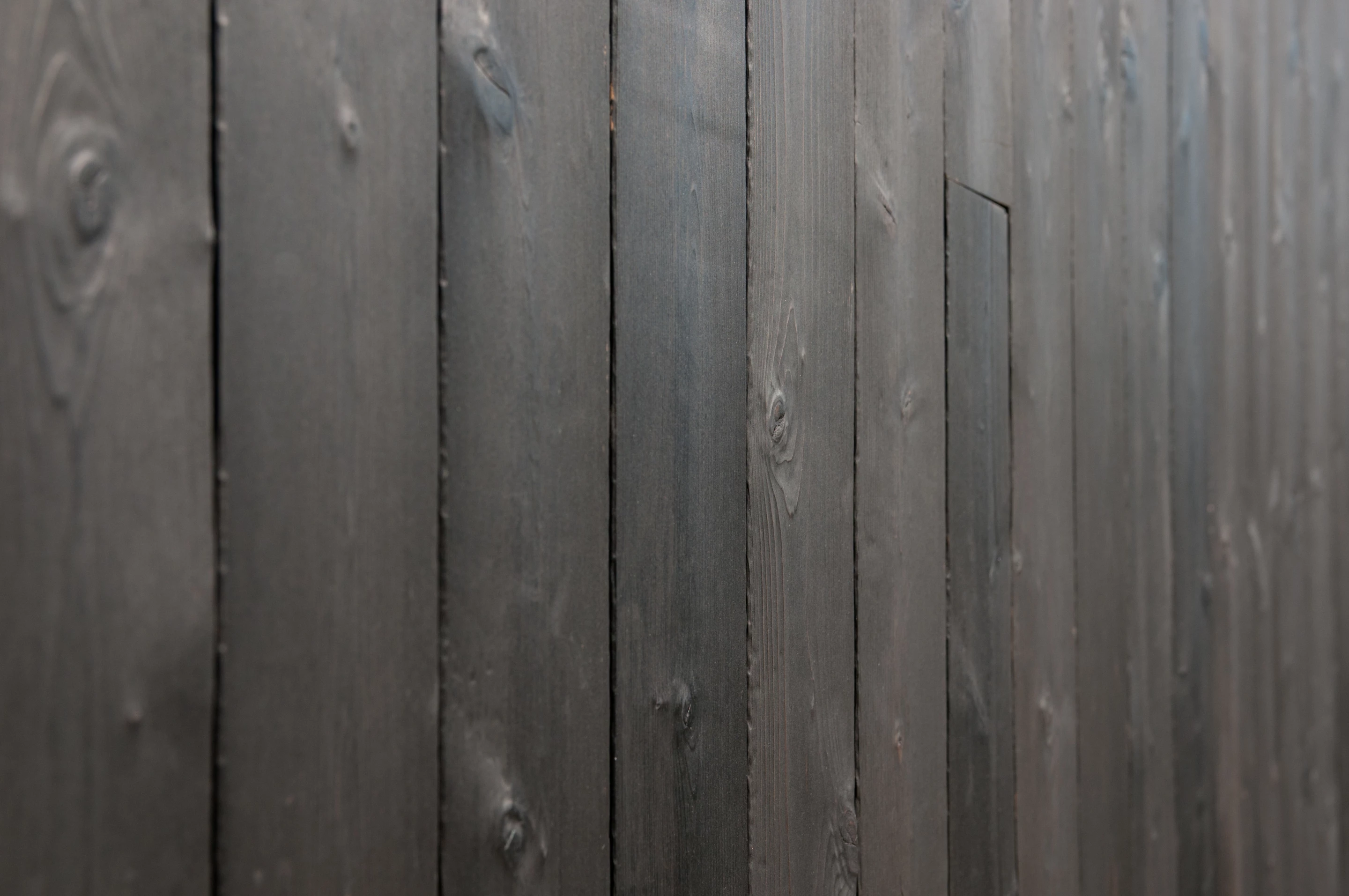 The Magnolia V5's exterior is finished in cedar, some of which has been charred using the Japanese Shou Sugi Ban method