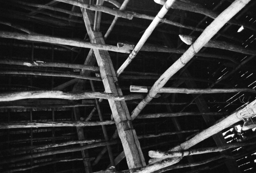 The non-structural latticework from which tobacco leaves are strung in a traditional tobacco barn (Photo: William J Kimmerle)