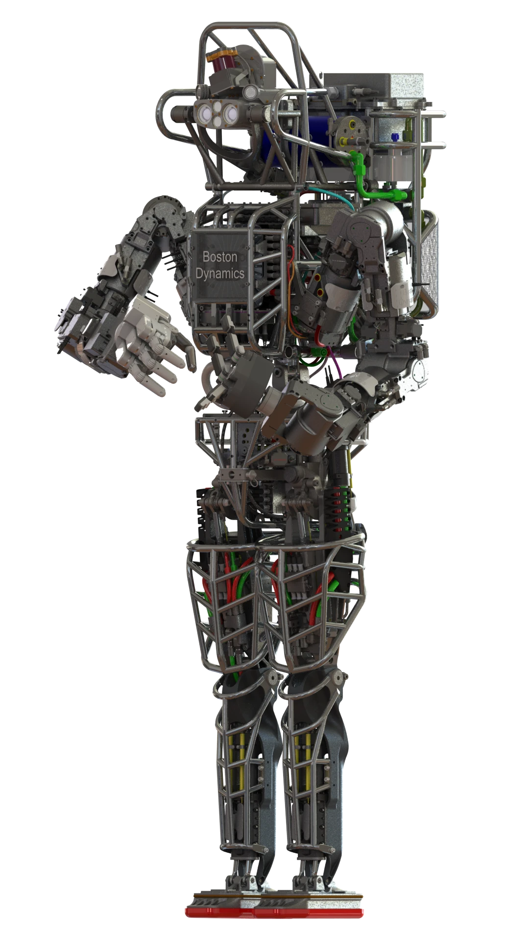 ATLAS stands 6 ft 2 in (1.88 m) tall, and weighs 330 lb (150 kg)