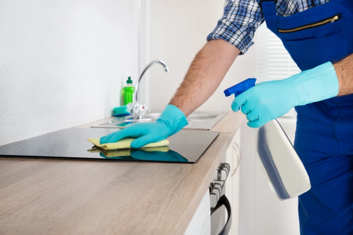 A new study has found both germ-free mice and mice exposed to diverse microbes responded similarly to allergen exposure