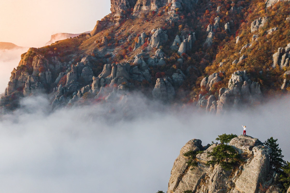 'Alone in the mist' by @inchaseofbeauty (Russia)