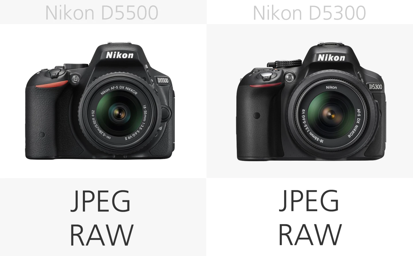 Nikon D5500 vs. Nikon D5300 flie types comparison