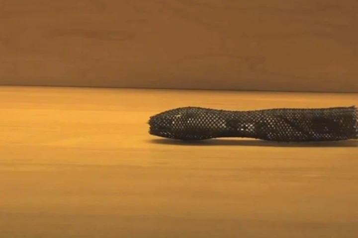 Meshworm imitates to movements of an earthworm (Photo: MIT)