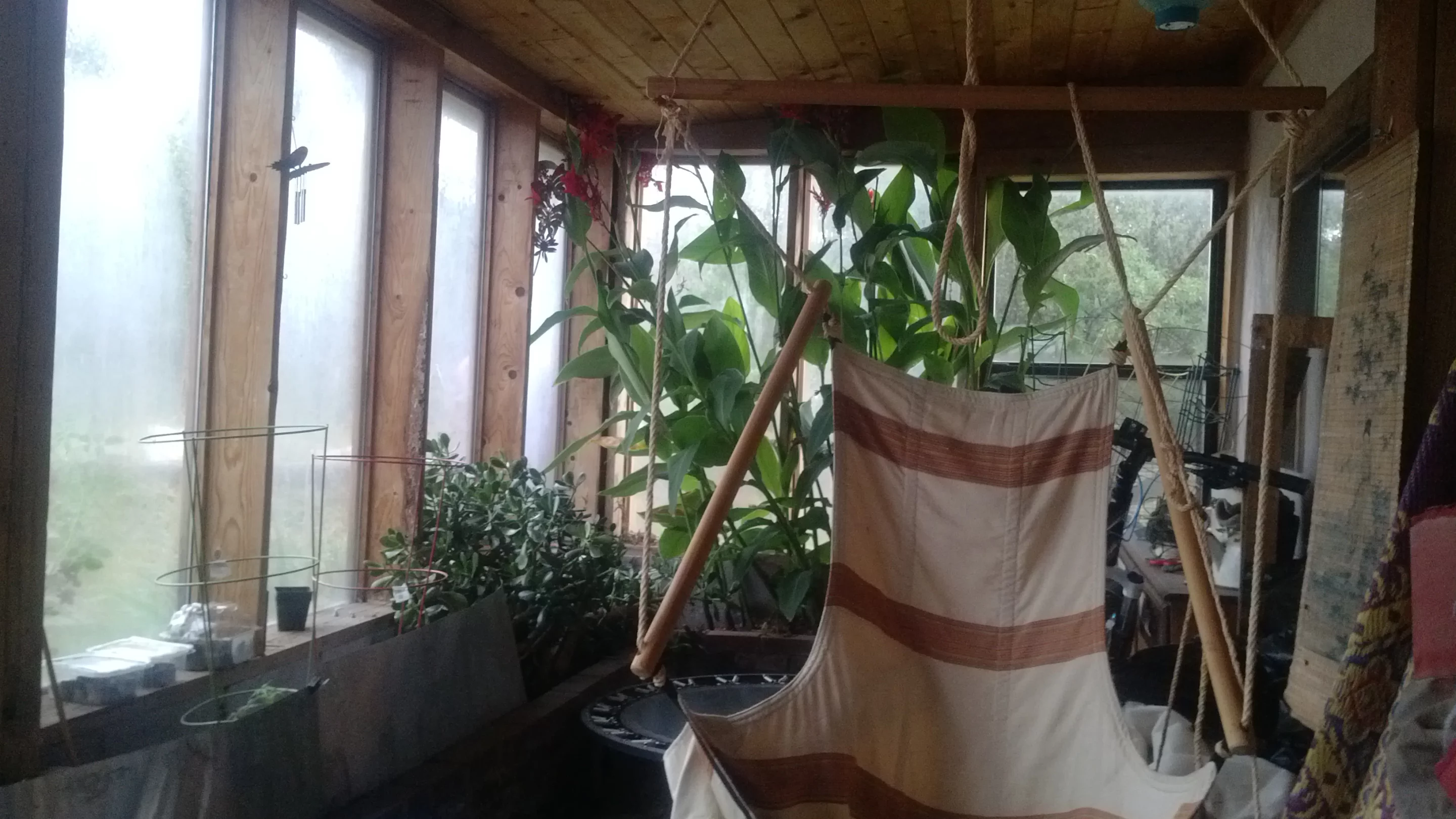 The best indoor shot I managed